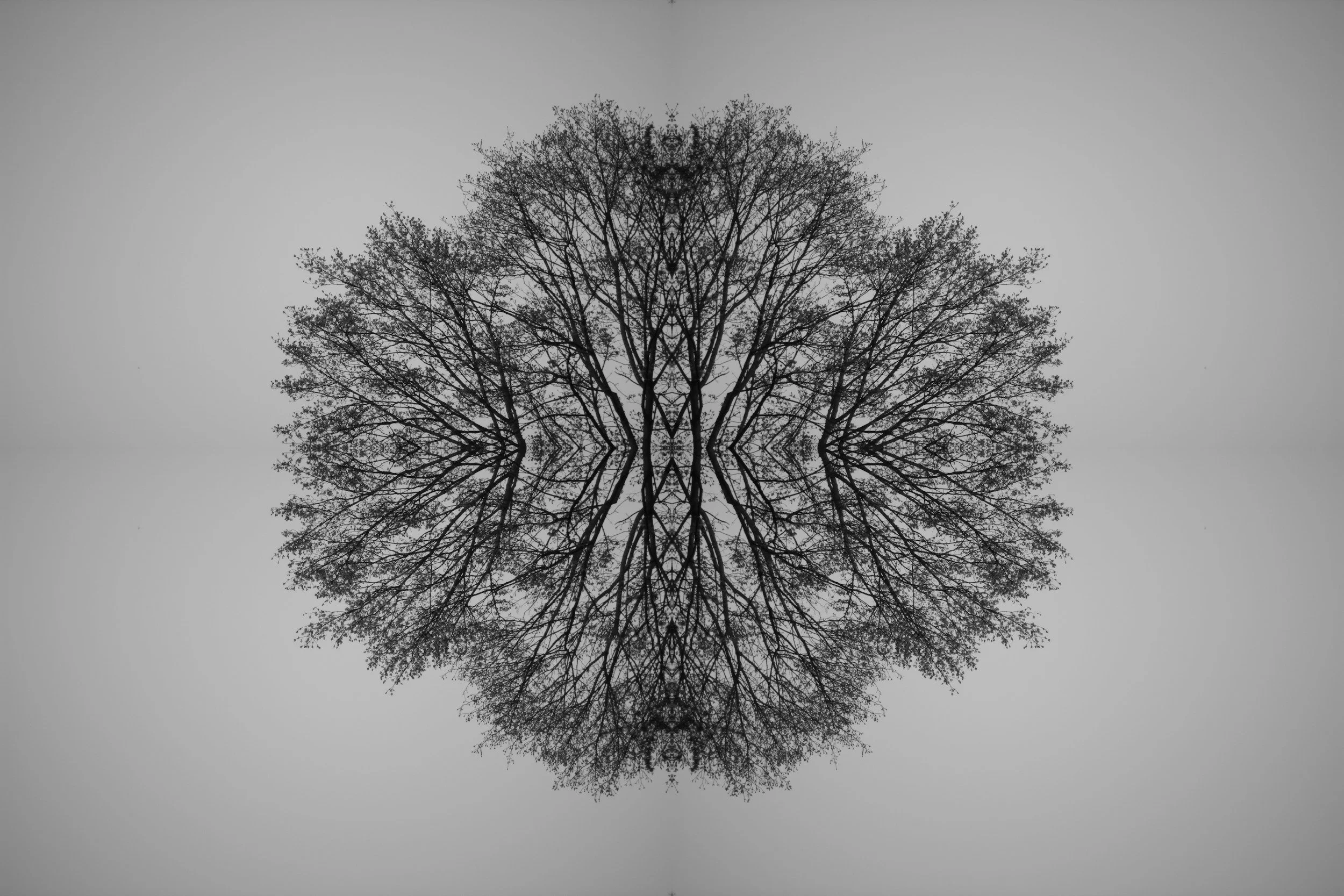 Depth Psychotherapy for Grief