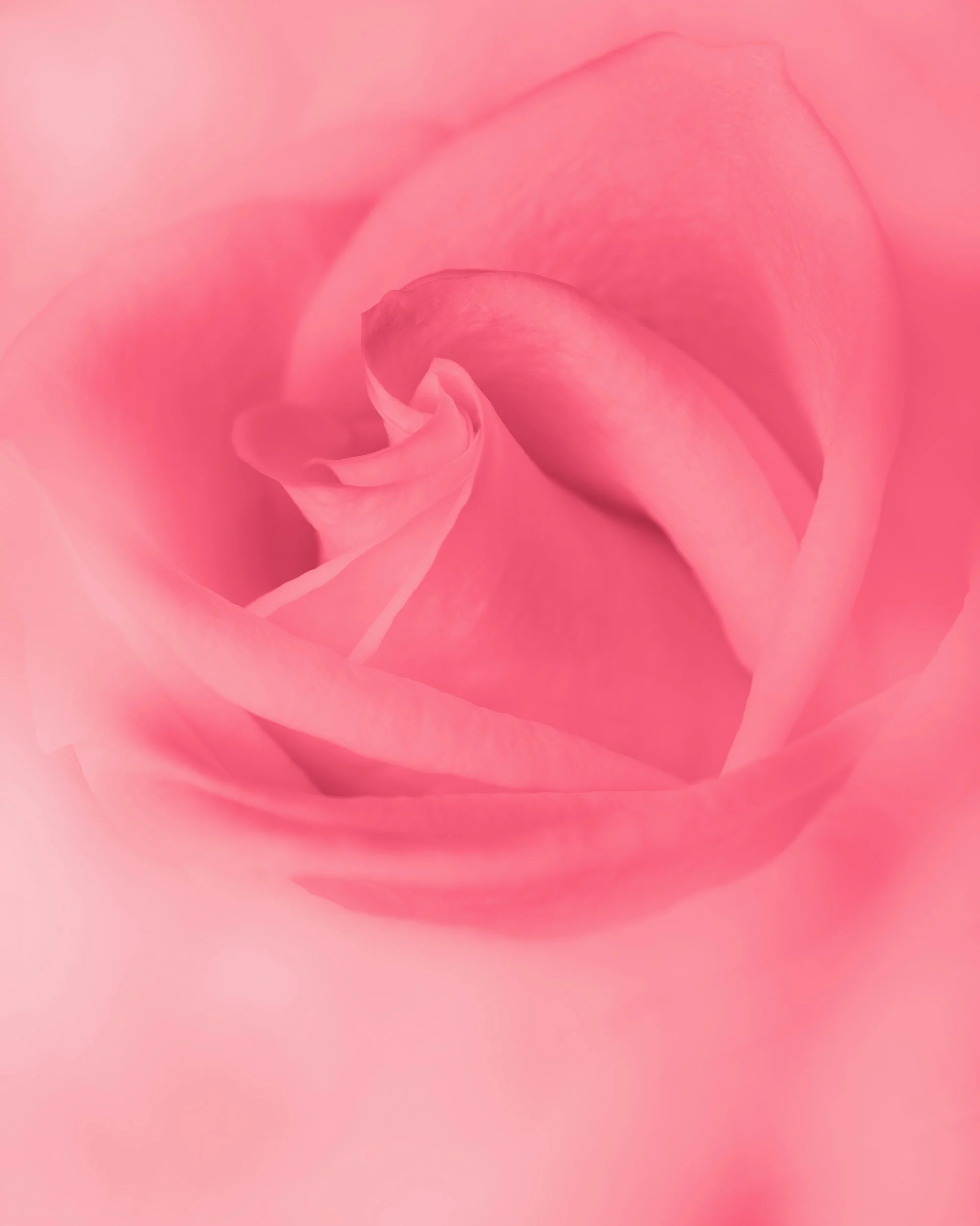 Perimenopause and Trauma: When Hormones Stir the Old Wounds