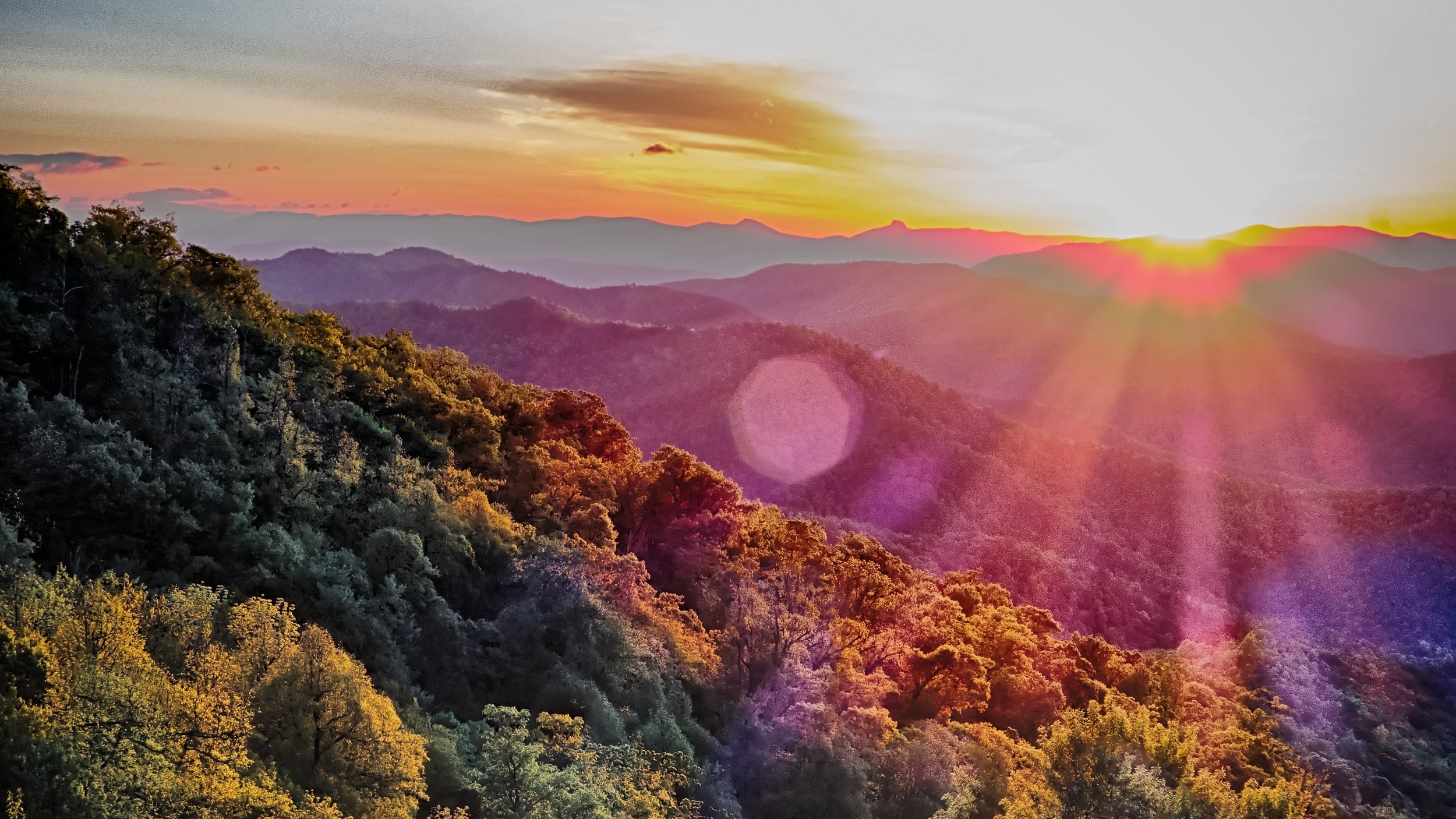 AdobeStock_121039035.jpeg