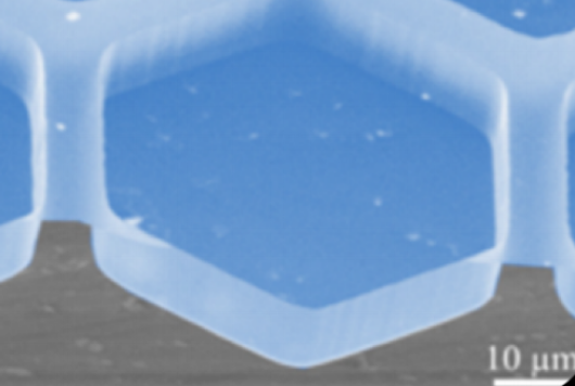 plate.png