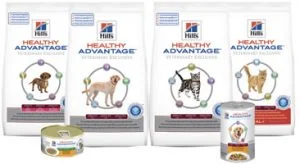 hill's healthy advantage cat food