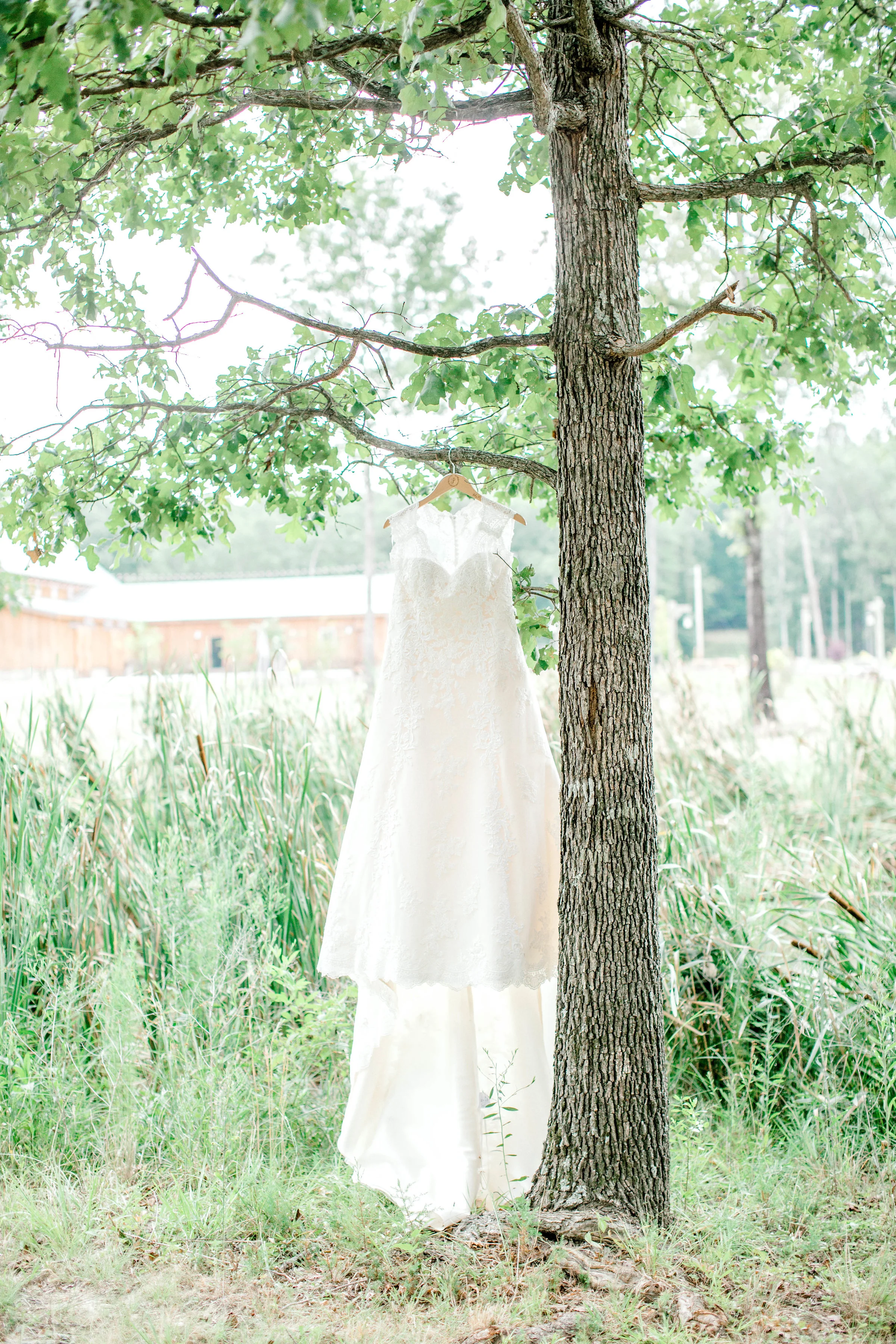 REPWeddingPhotographer-AlanaandThomas(1of1).jpg