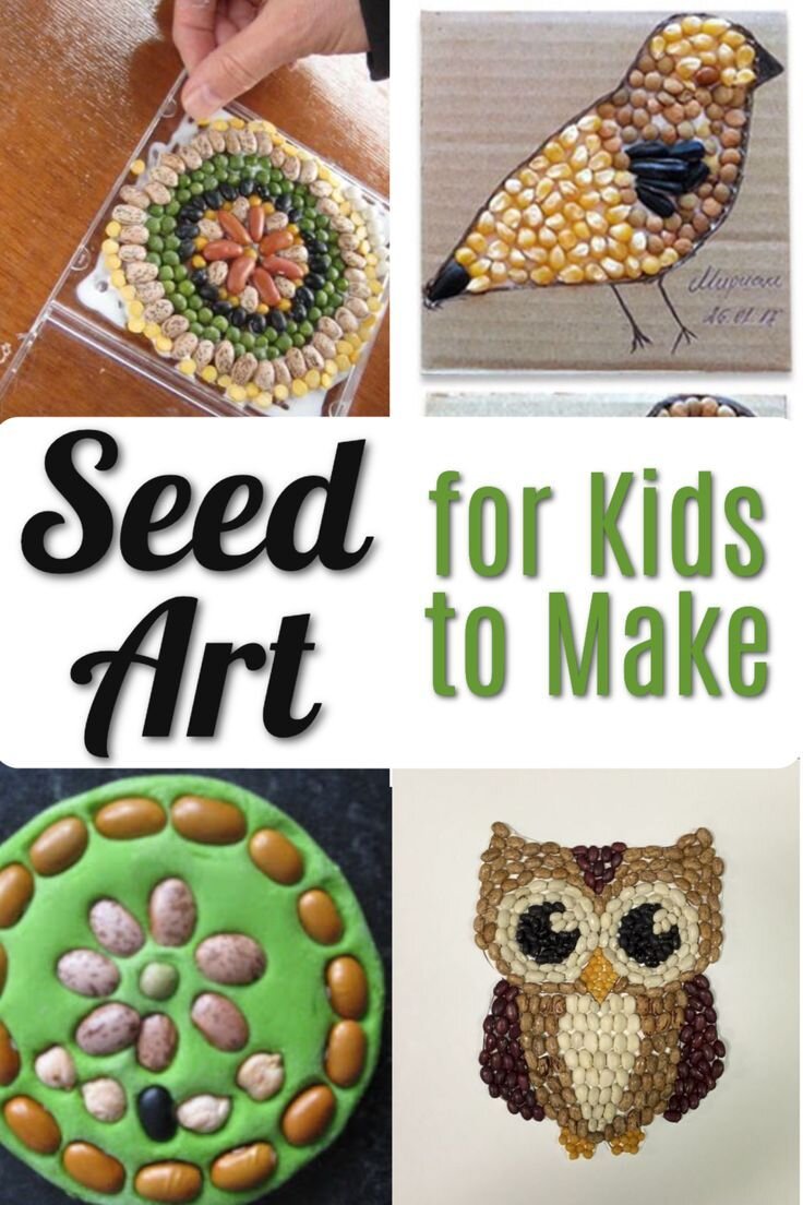 SEEDS-art01.jpg