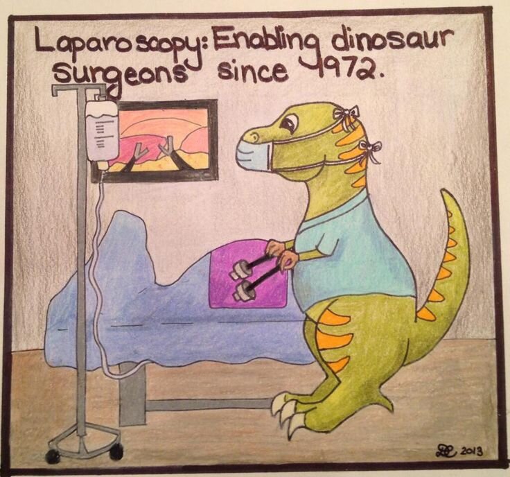 LAPRISCOPY.jpeg