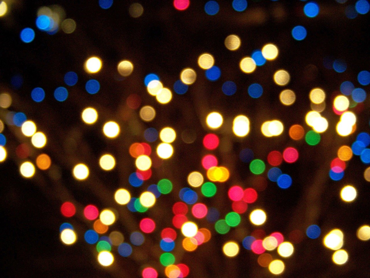 Christmas Lights.jpg