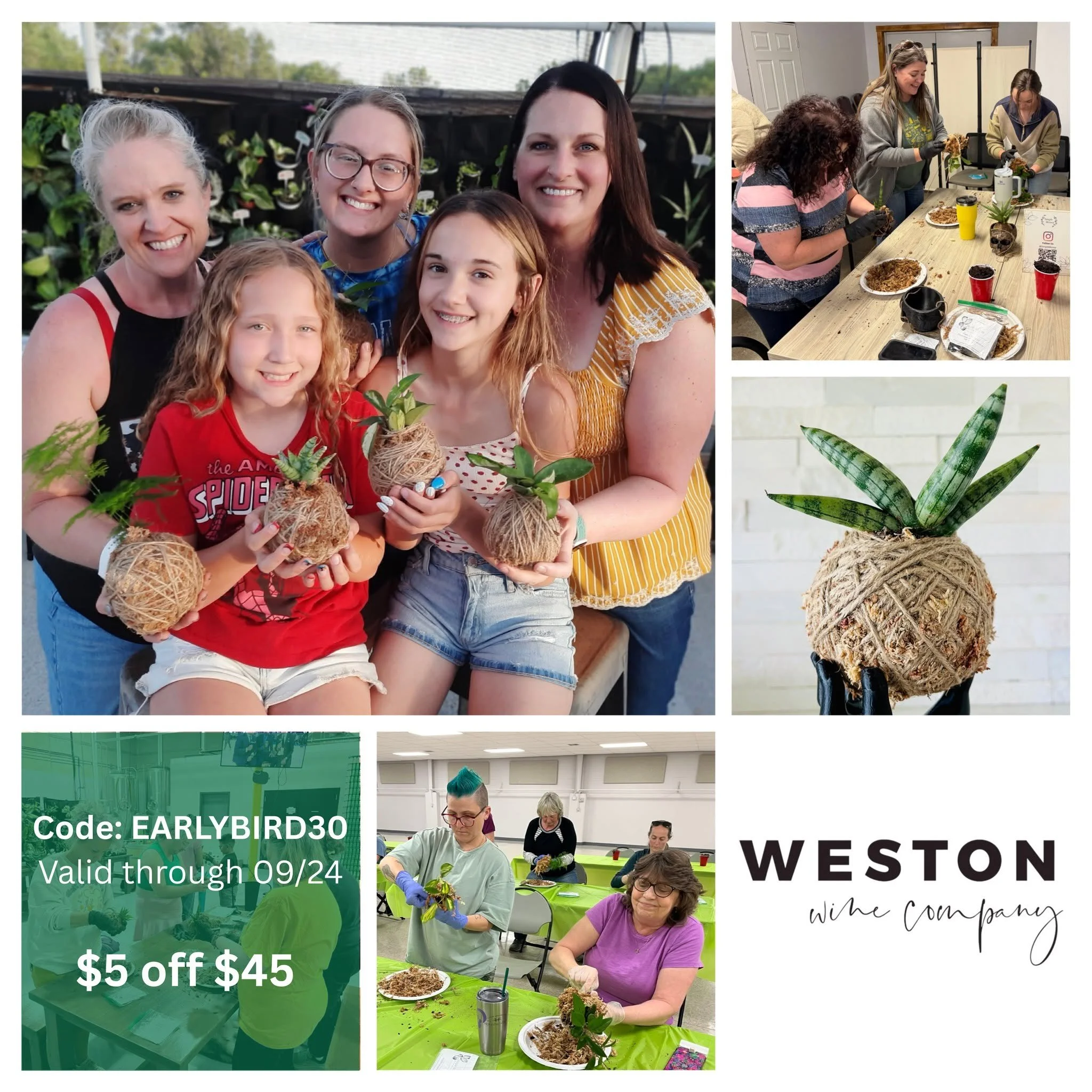 Kokedama Plant Ball Workshop