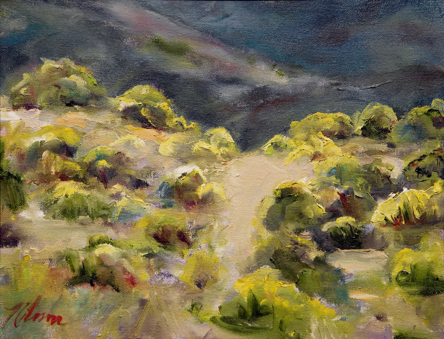 Chamisa & Sand Dunes