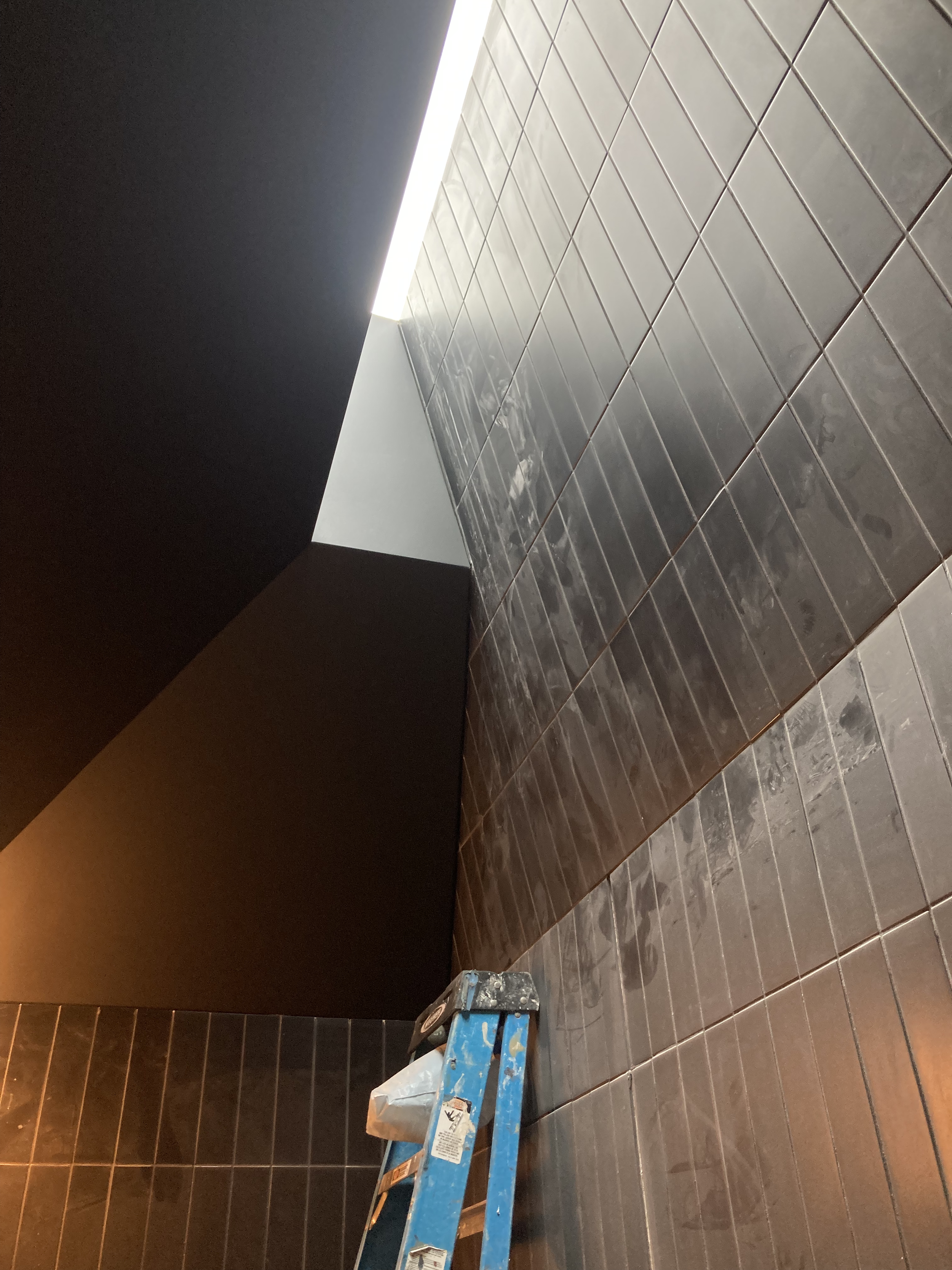 Windsor Terrace - Bath Skylight
