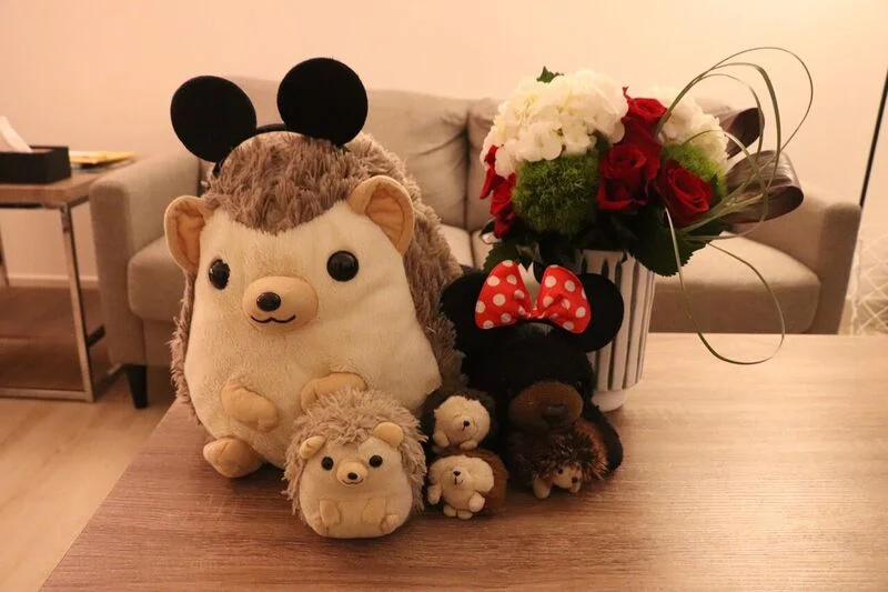 hedgehogsandflowers.jpeg