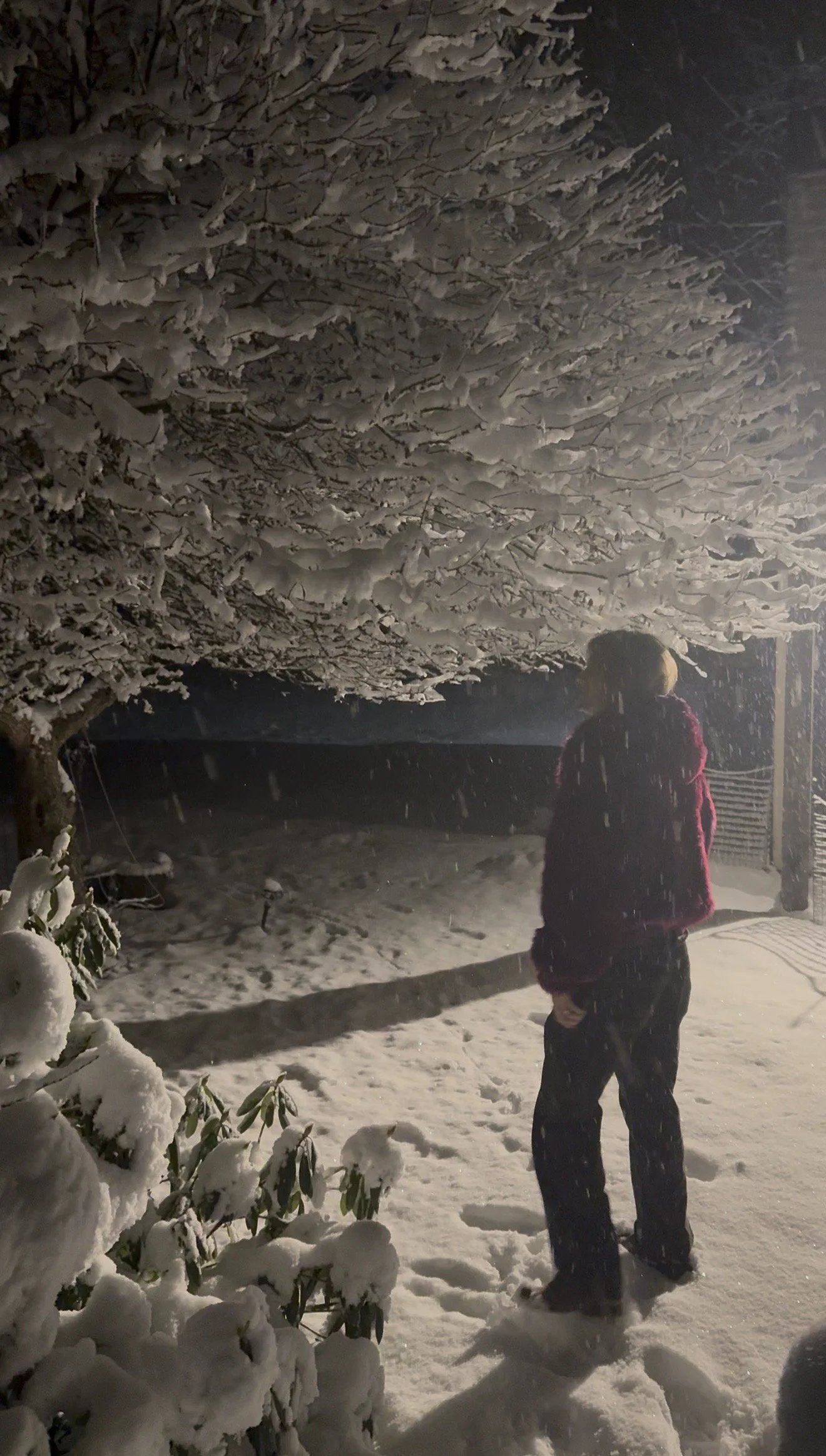 Winter in New Hampshire as Told Through Björk’s Vespertine