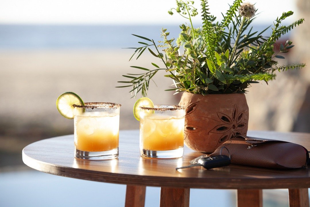 20241213_Mishka_El_Faro-512 Large.jpeg