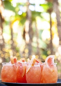 20240105_Jenny_Ned-21 Large.jpeg