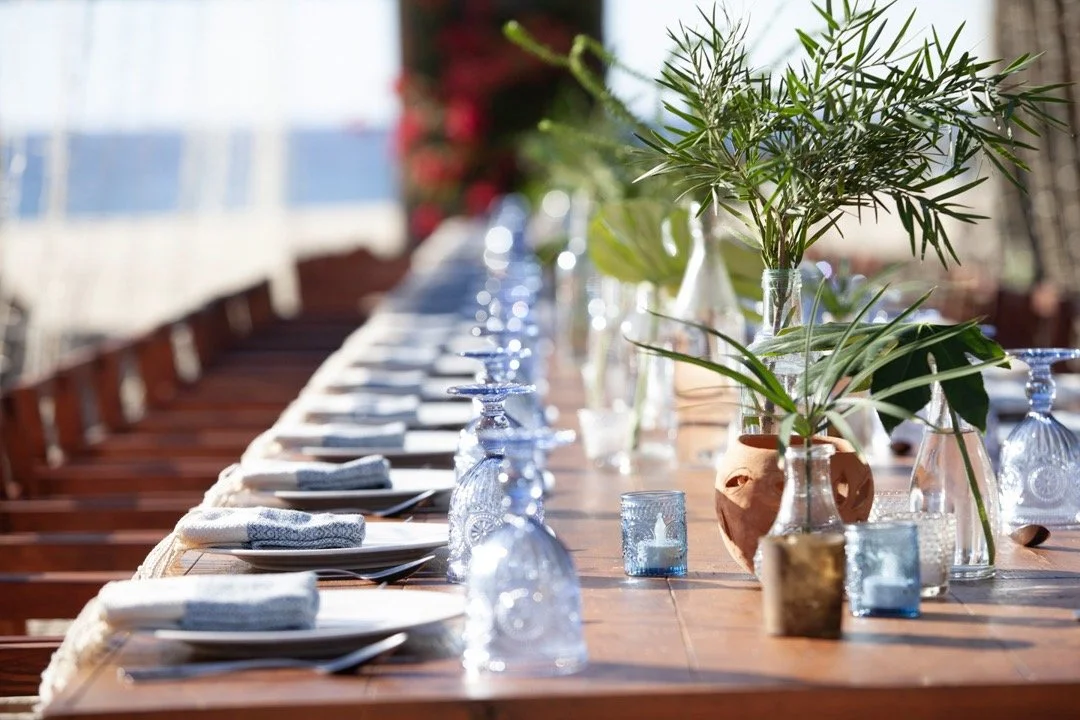 20241213_Mishka_El_Faro-48 Large.jpeg