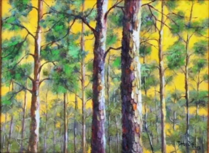  PINE FOREST  18x24, oil on canvas  Each morning as I drink my coffee I would look out at these trees through my back yard and I felt compelled to paint them.&nbsp; I was glad that I did as the owner recently cut them down.  Psalms 19:1 