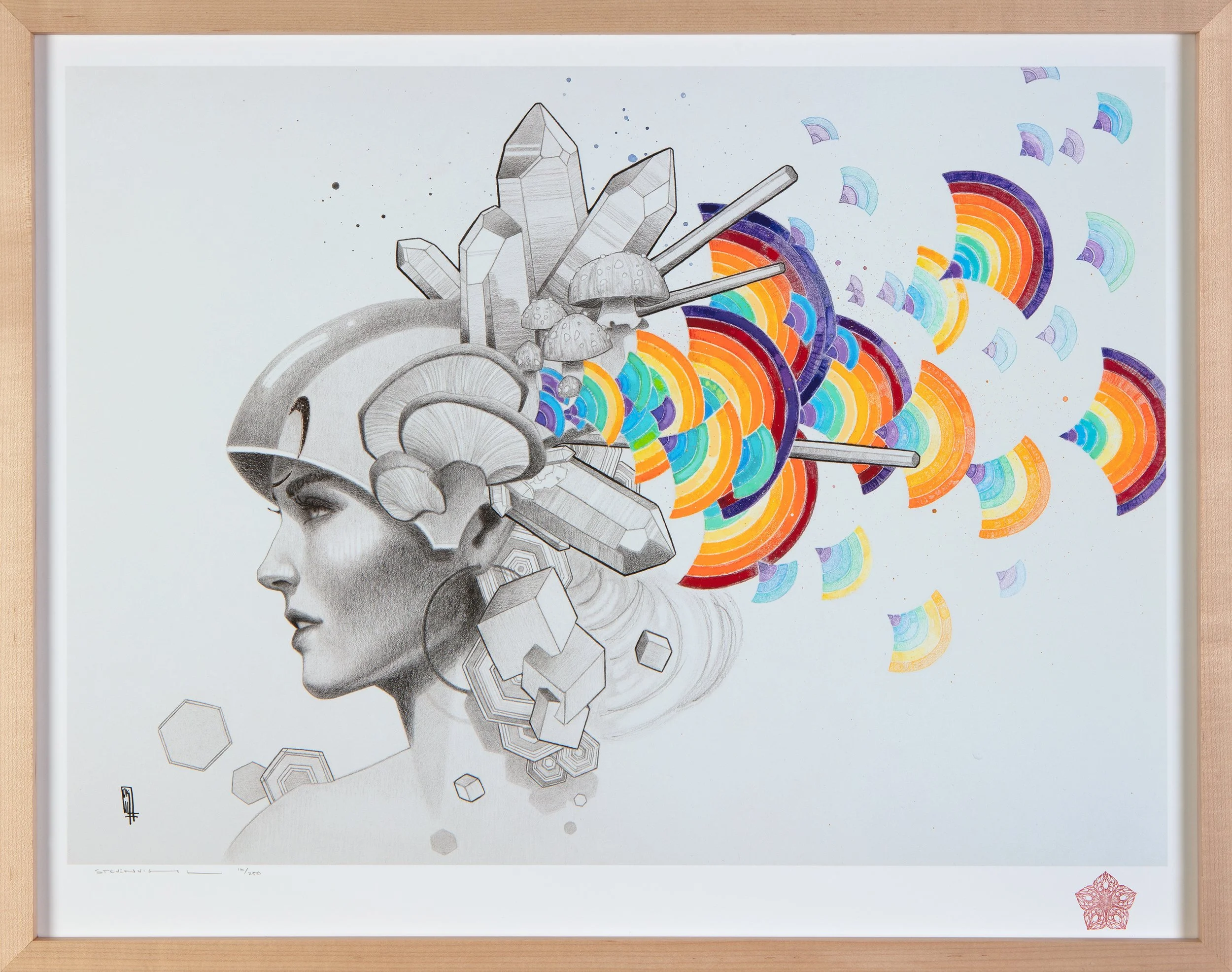 Limited edition - Prismatic Clairvoyance (web).jpg