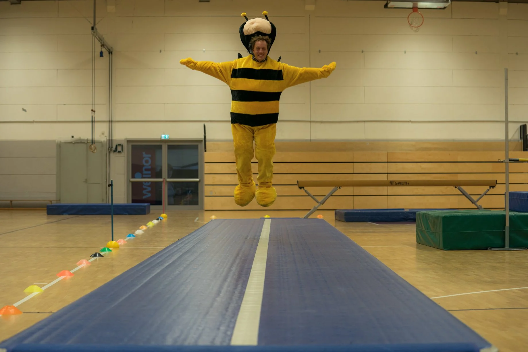 Die Hummeln fliegen hoch.