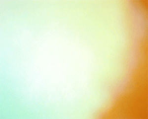 20171018191354.gif