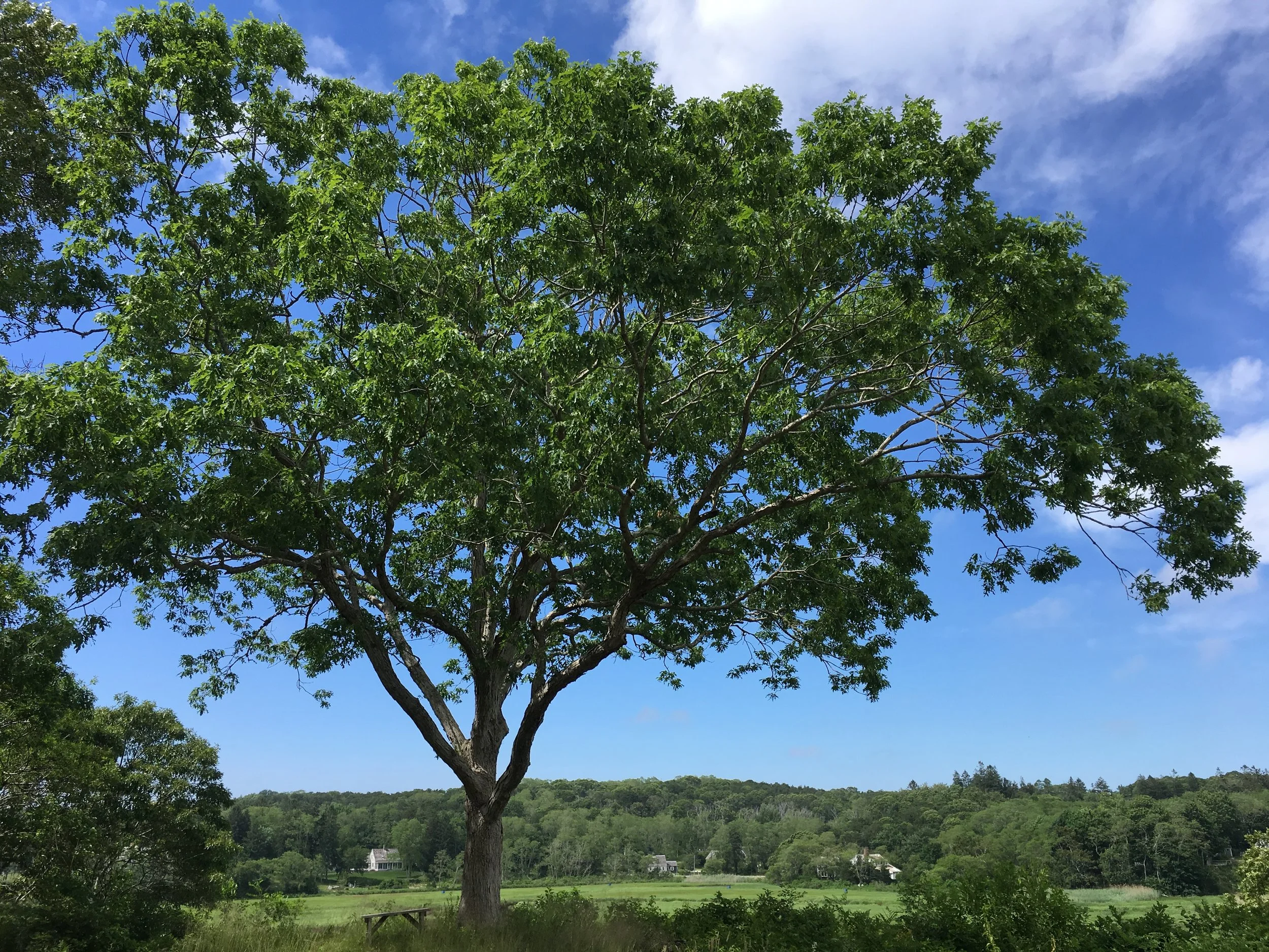 PB Contact Page Image.JPG