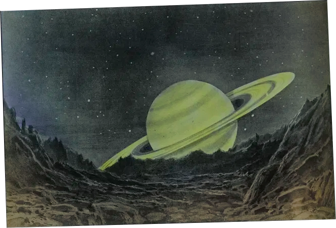 A Conversation with Meg Charlton