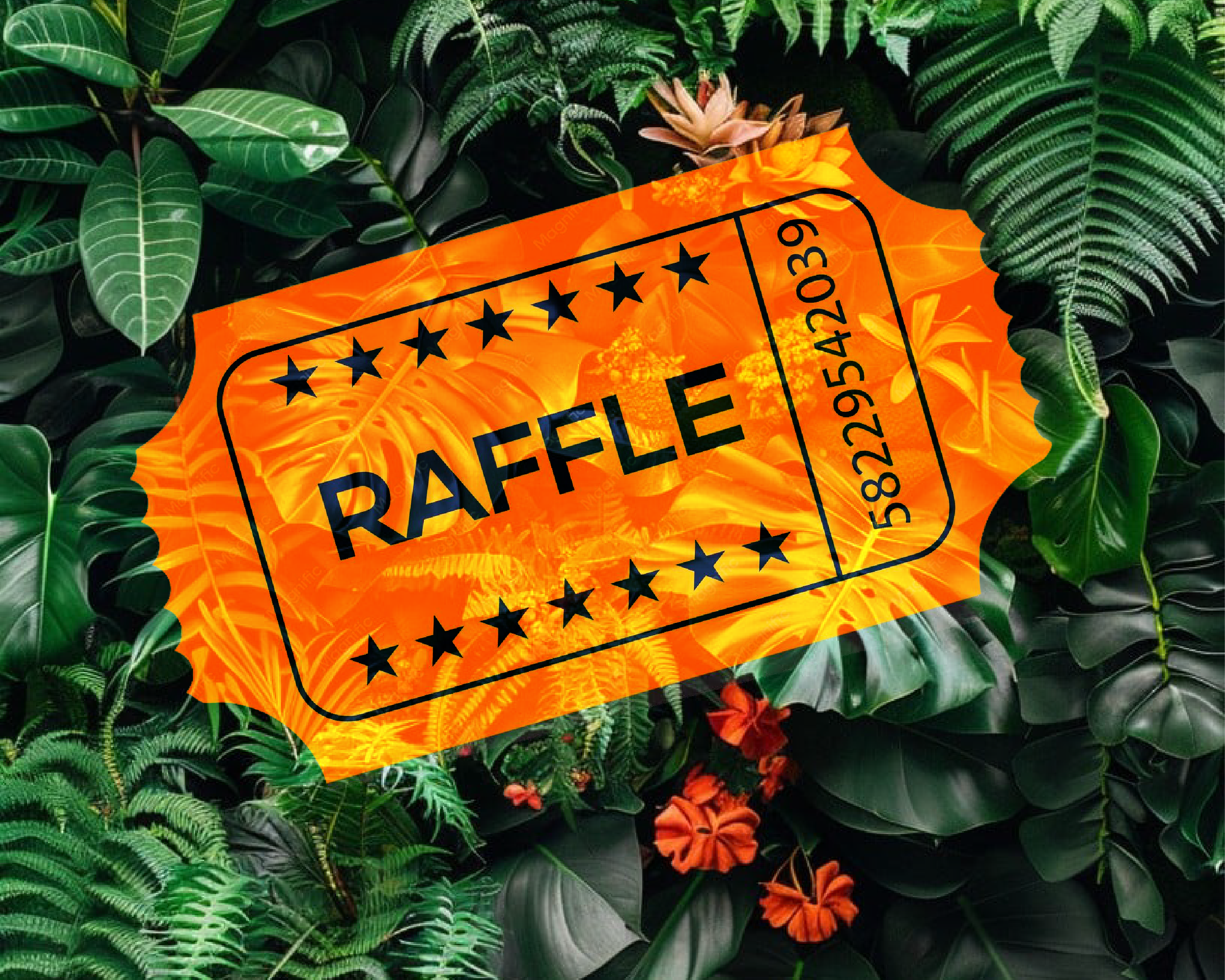 RAFFLE!