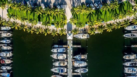 coconut-grove.jpg