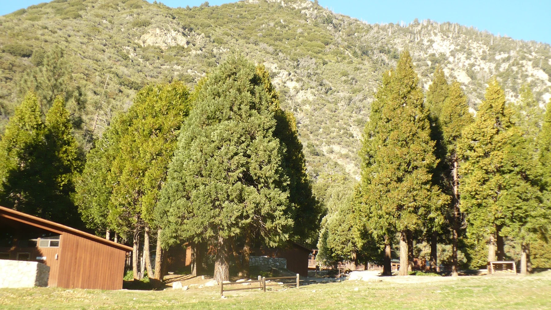 Pilgrim Pines Camp Conference Center Uccr United Camps