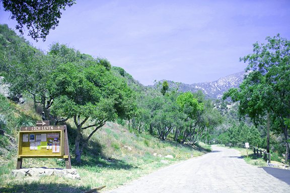 Road into camp