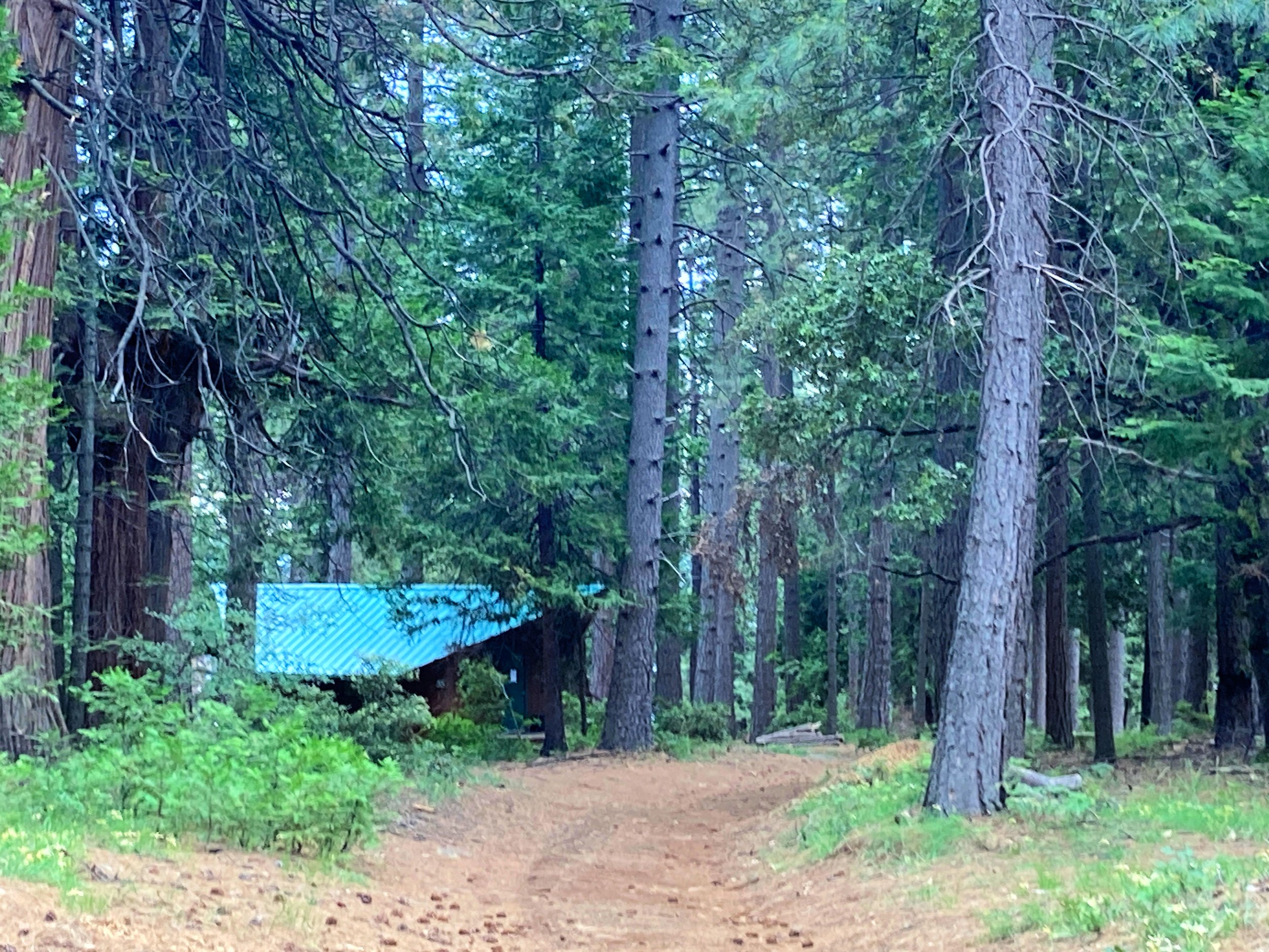 Bobbitt cabin area.jpg