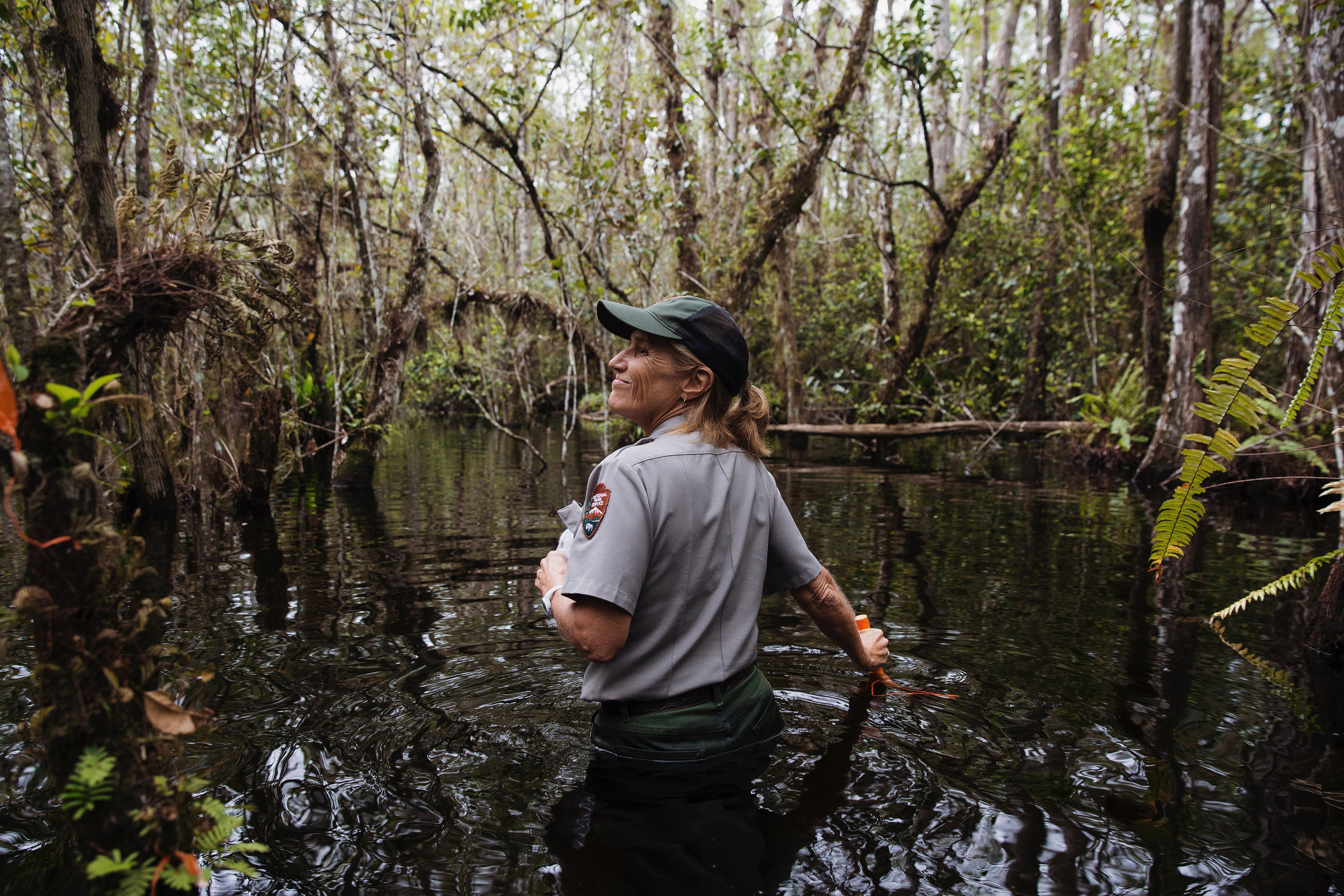 Lisa Andrews, an outreach and education coordinator for Big Cypress National Reserve, guides Christopher Richard, his wife Alyssa St. Claire and their daughter Casey on a swamp walk through the land behind Clyde Butcher's Big Cypress Gallery on Saturday, Oct. 28, 2017.