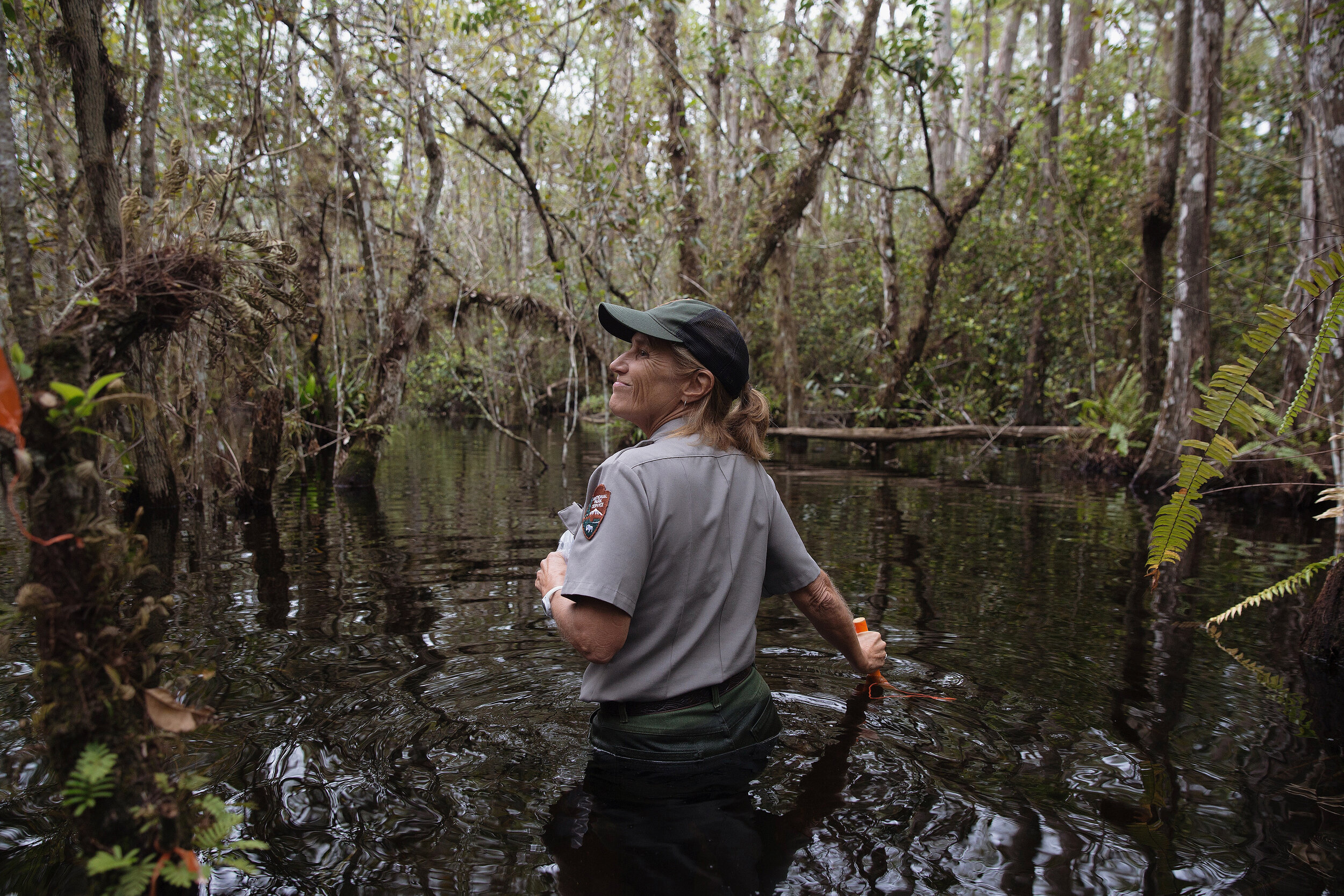  Lisa Andrews, an outreach and education coordinator for Big Cypress National Reserve, guides Christopher Richard, his wife Alyssa St. Claire and their daughter Casey on a swamp walk through the land behind Clyde Butcher's Big Cypress Gallery on Satu