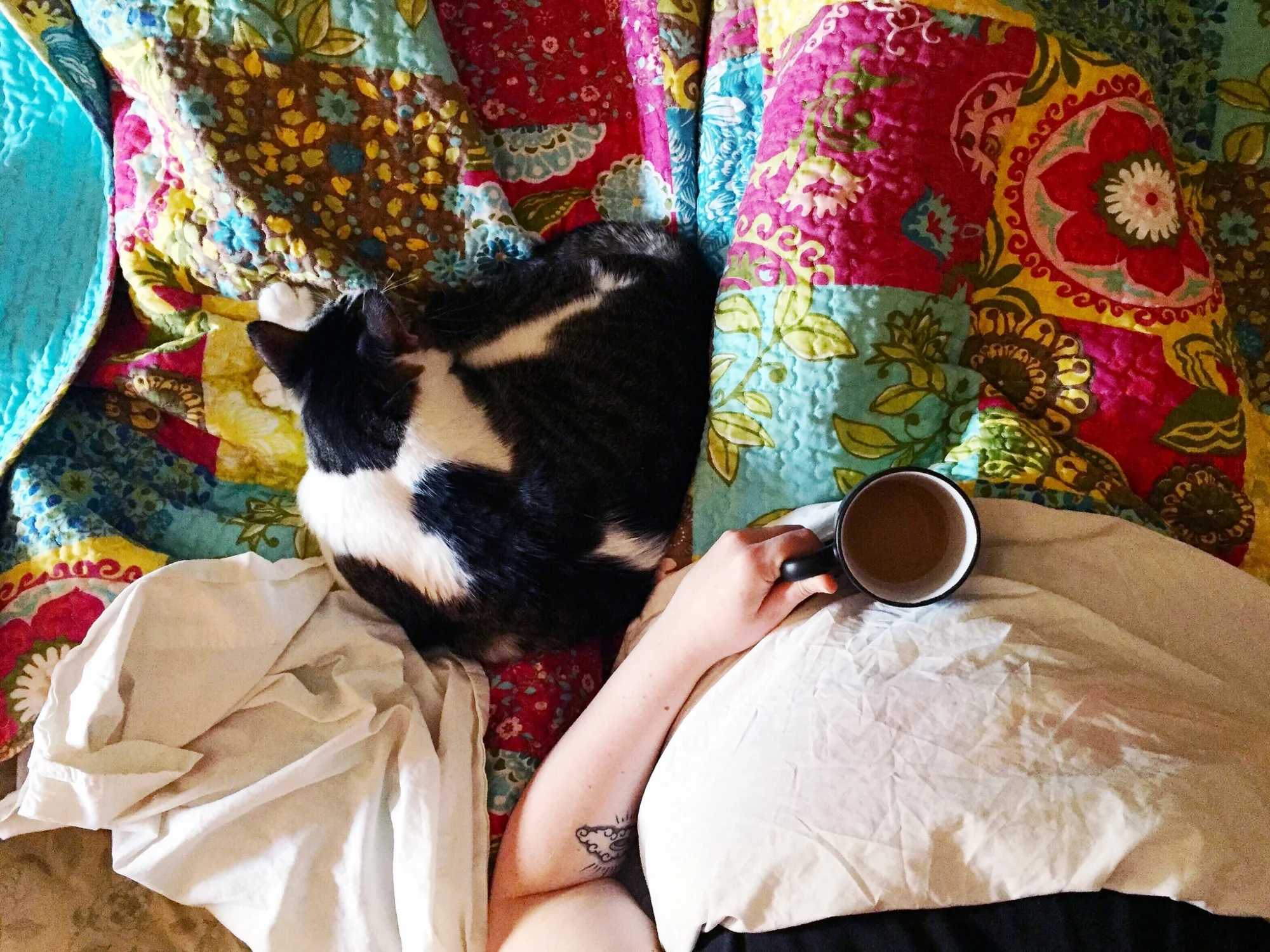 Comfort Addiction, Bigotry, and the Vulnerability of Baby Birds