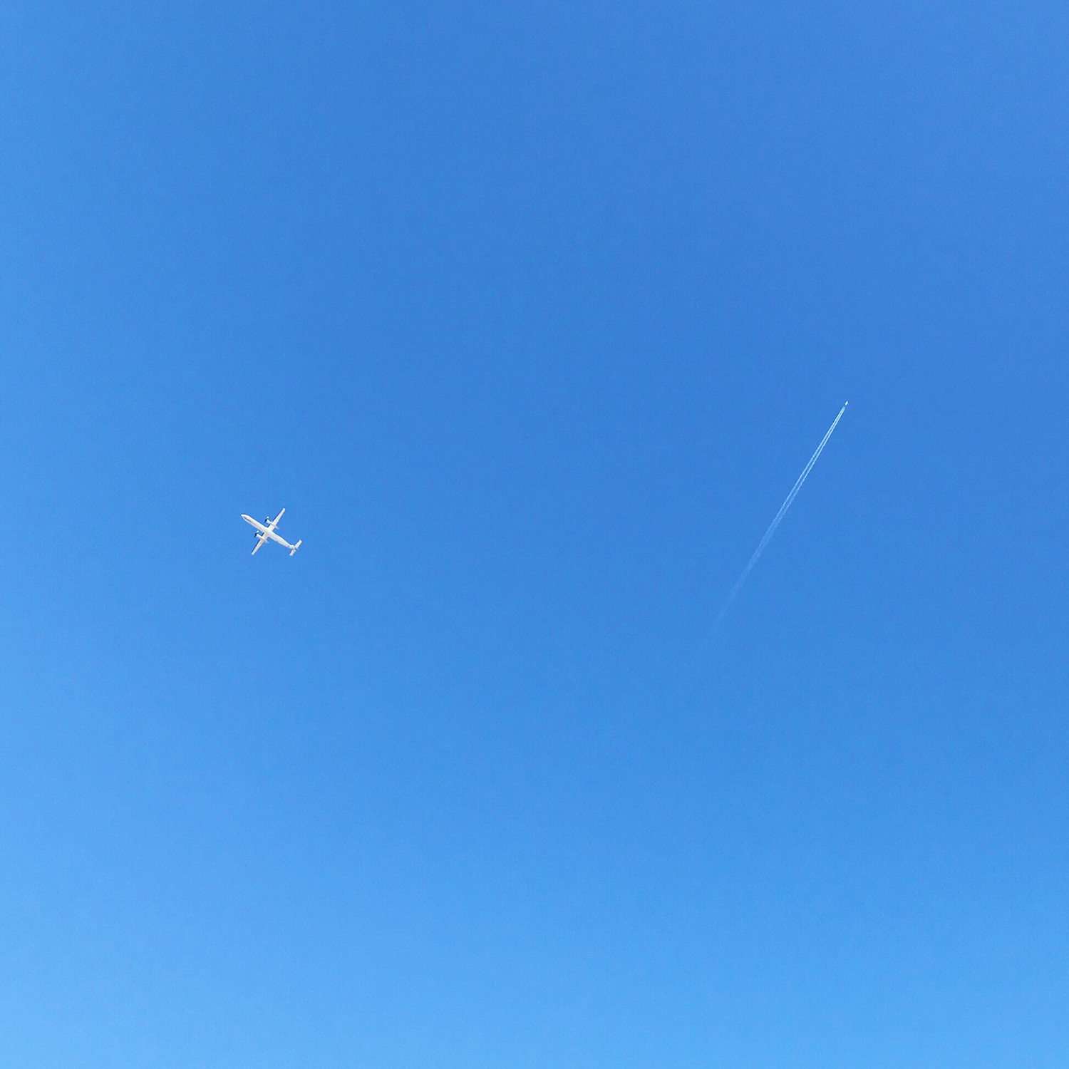 Ungrateful Daughters 