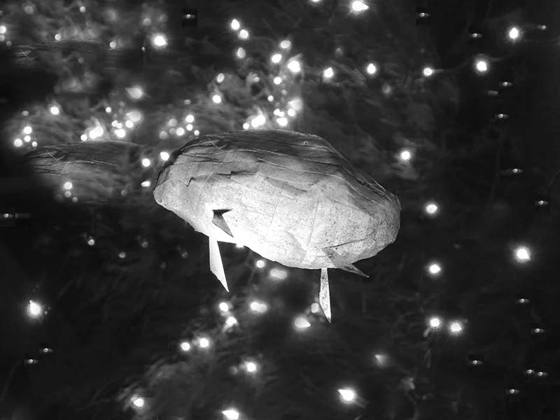Ship in Space6 web.jpg