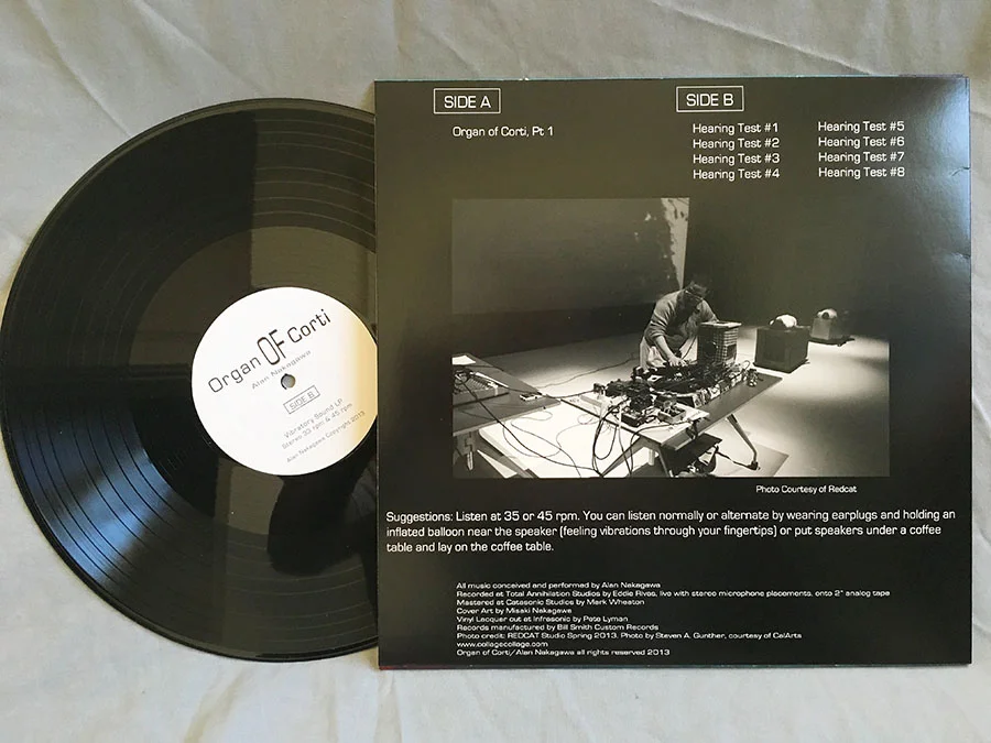Organ of Corti LP1 small.jpg