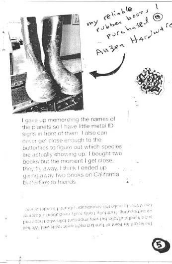 KT BS Zine5.jpg