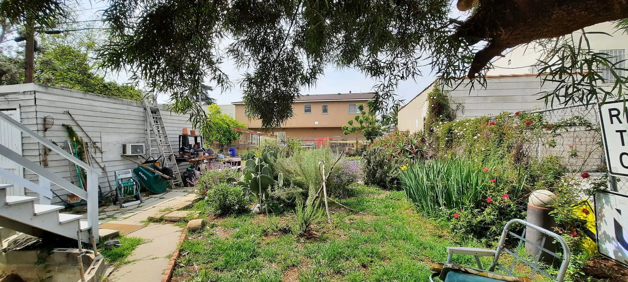 K-Town Butterfly Sanctuary (2022)