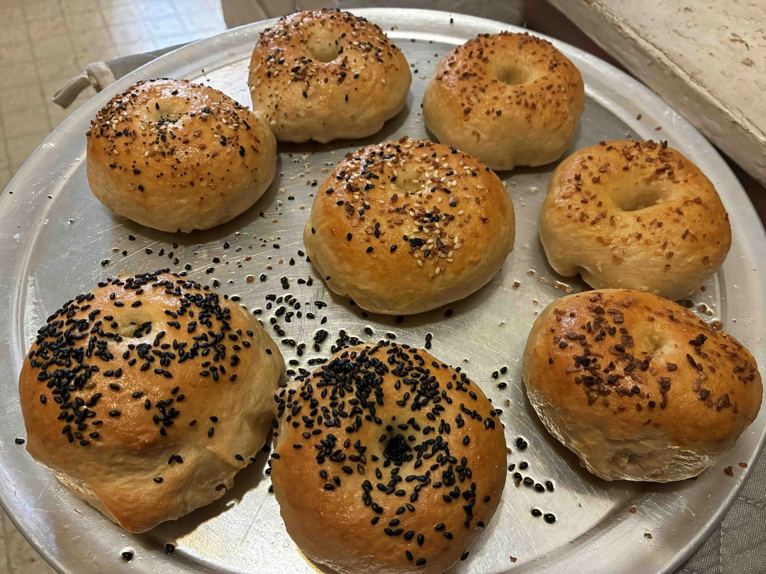052926 Bagels Session 5 sm.jpg
