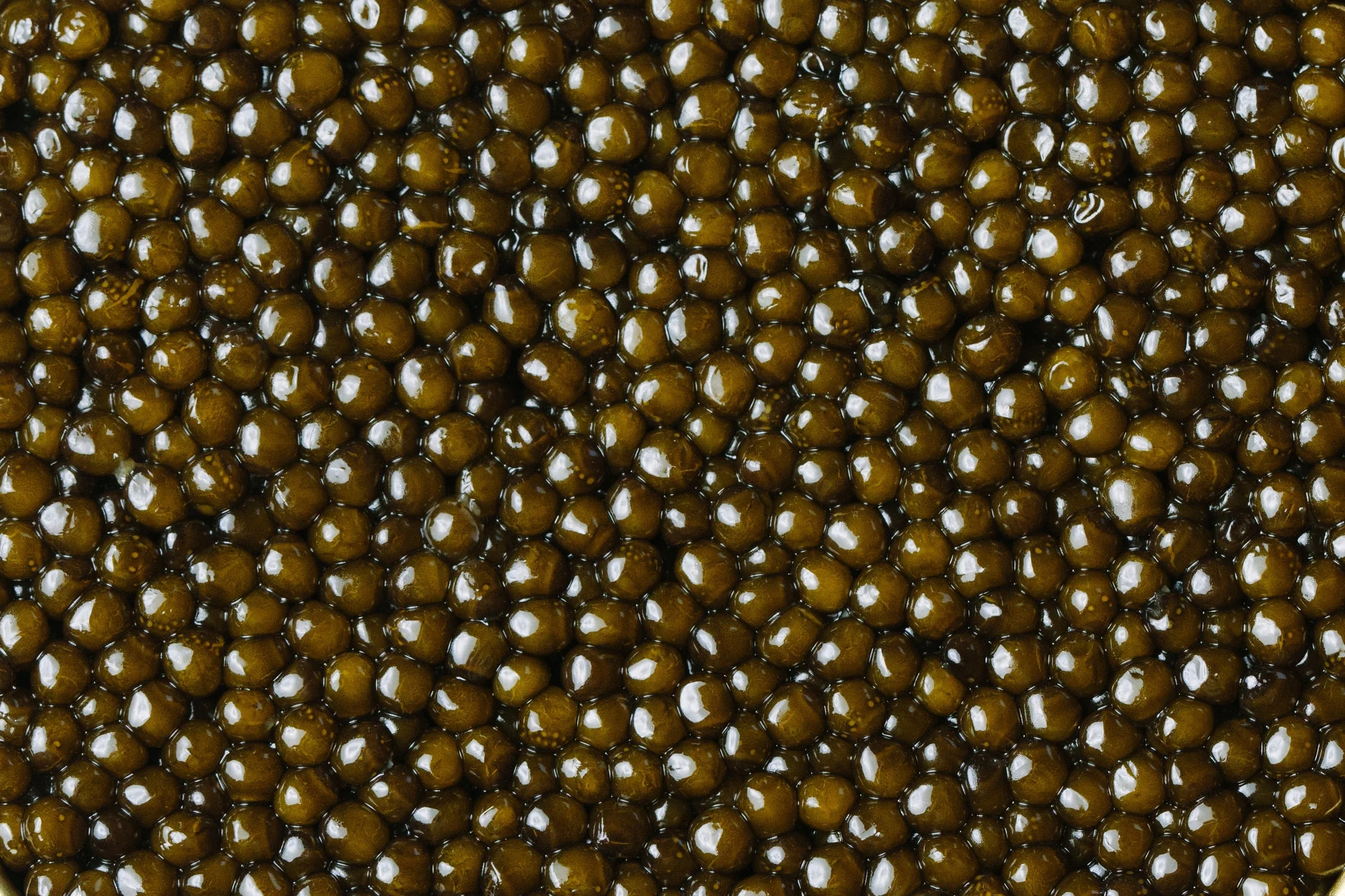 regiis_ova-542_crop.jpg