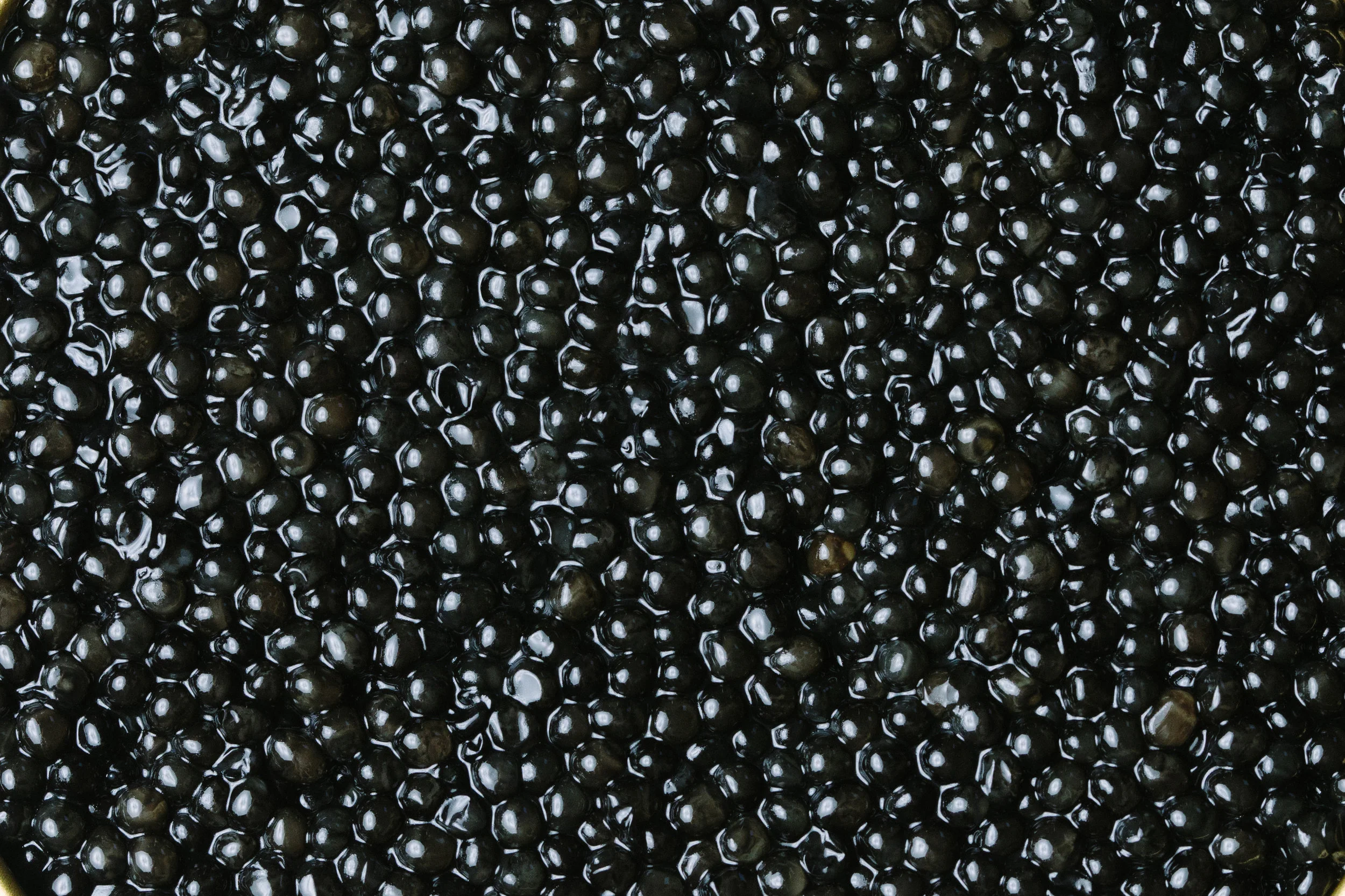regiis_ova-553_crop.jpg