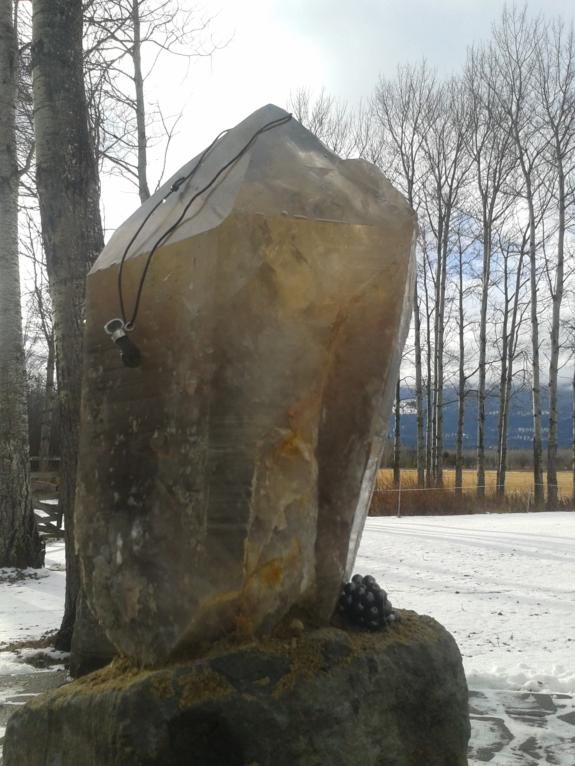 2013-11-30 12.37.29.jpg