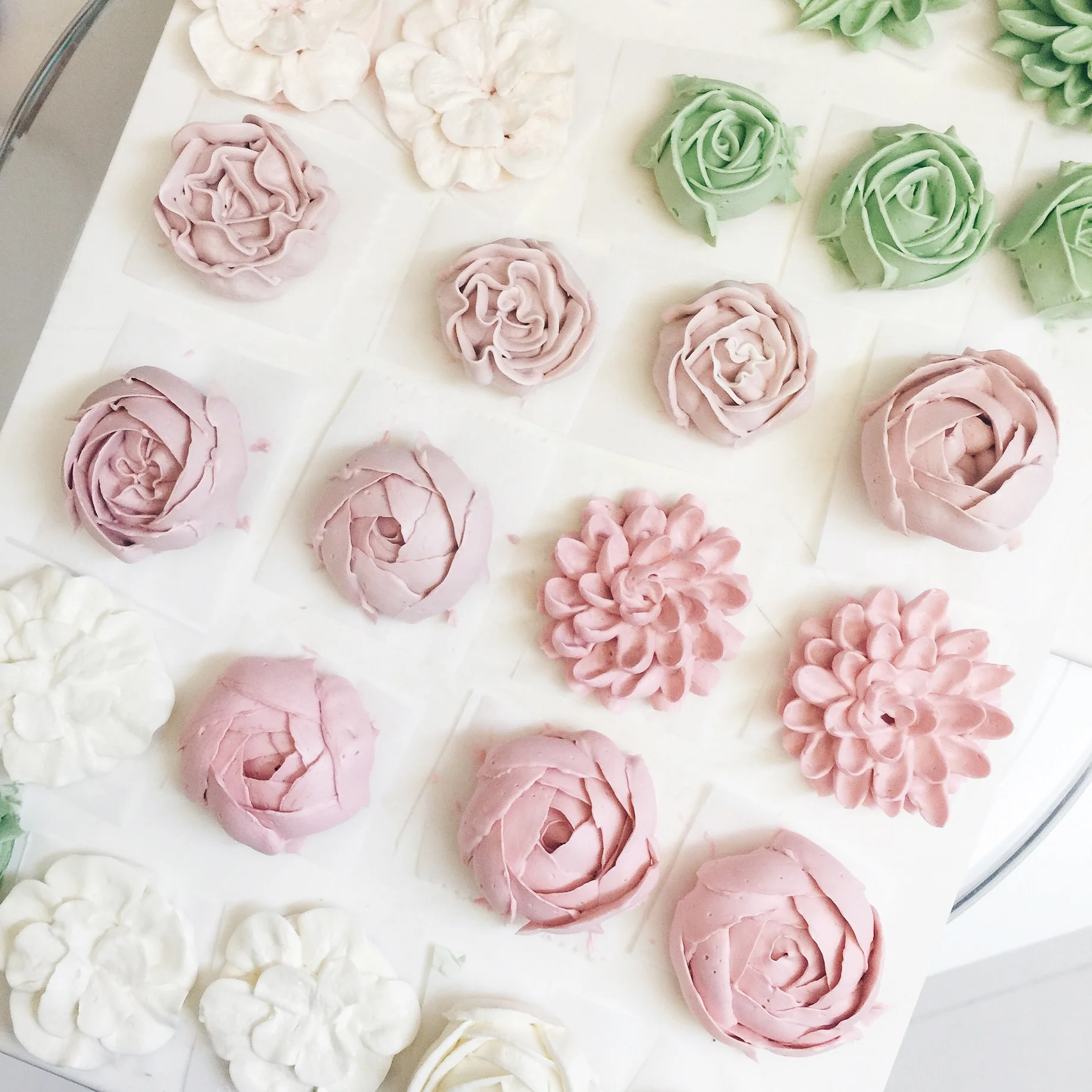 FLOWER.jpg