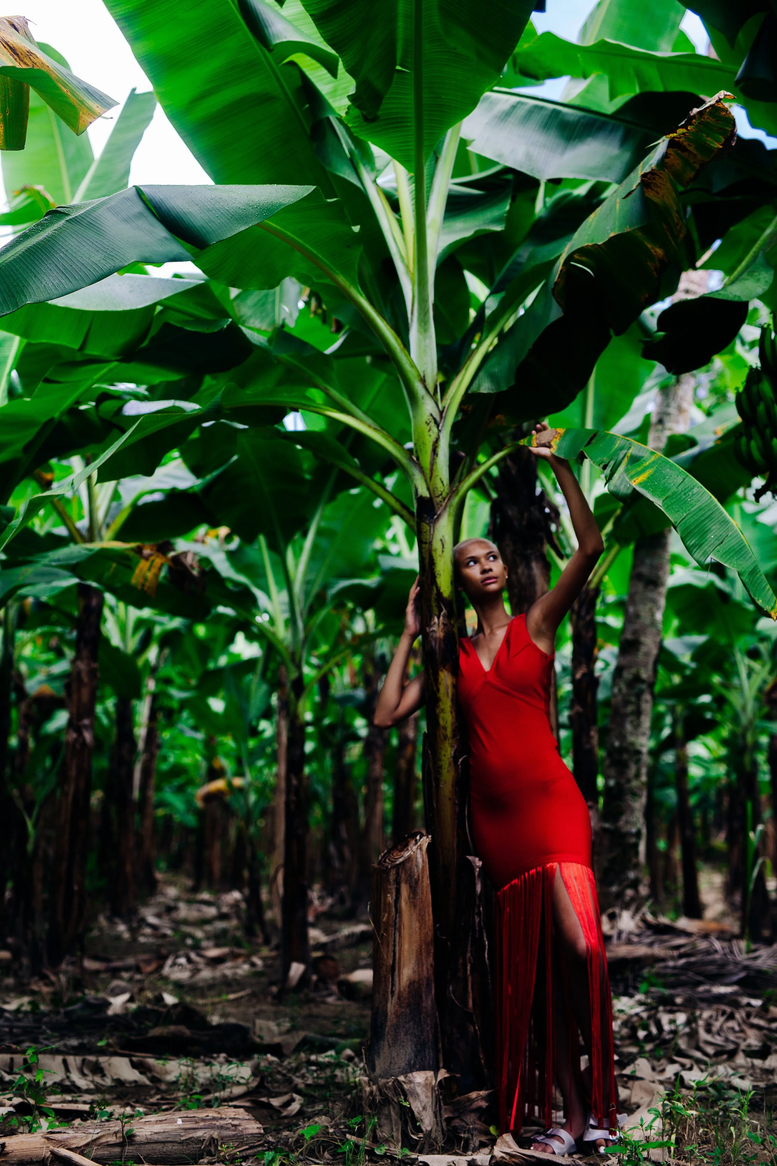 Jamaica_MeeksMedia-0652.jpg