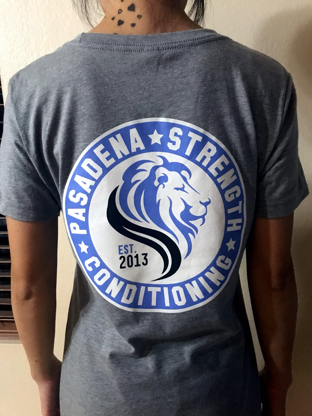 Women's T-Shirt (grey)