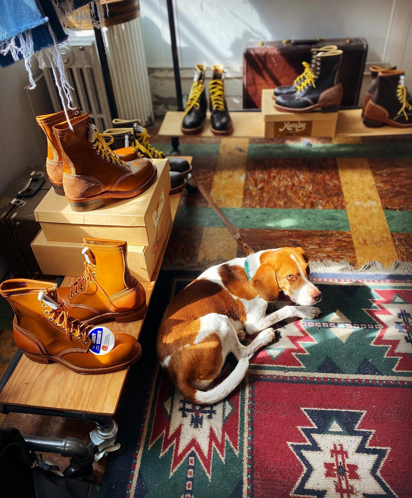 Meet Daisy- our new doggy ambassador for our vintage dead stock Canadian made boots. Just recently put out at both @mintage on Commercial and @mintagemall