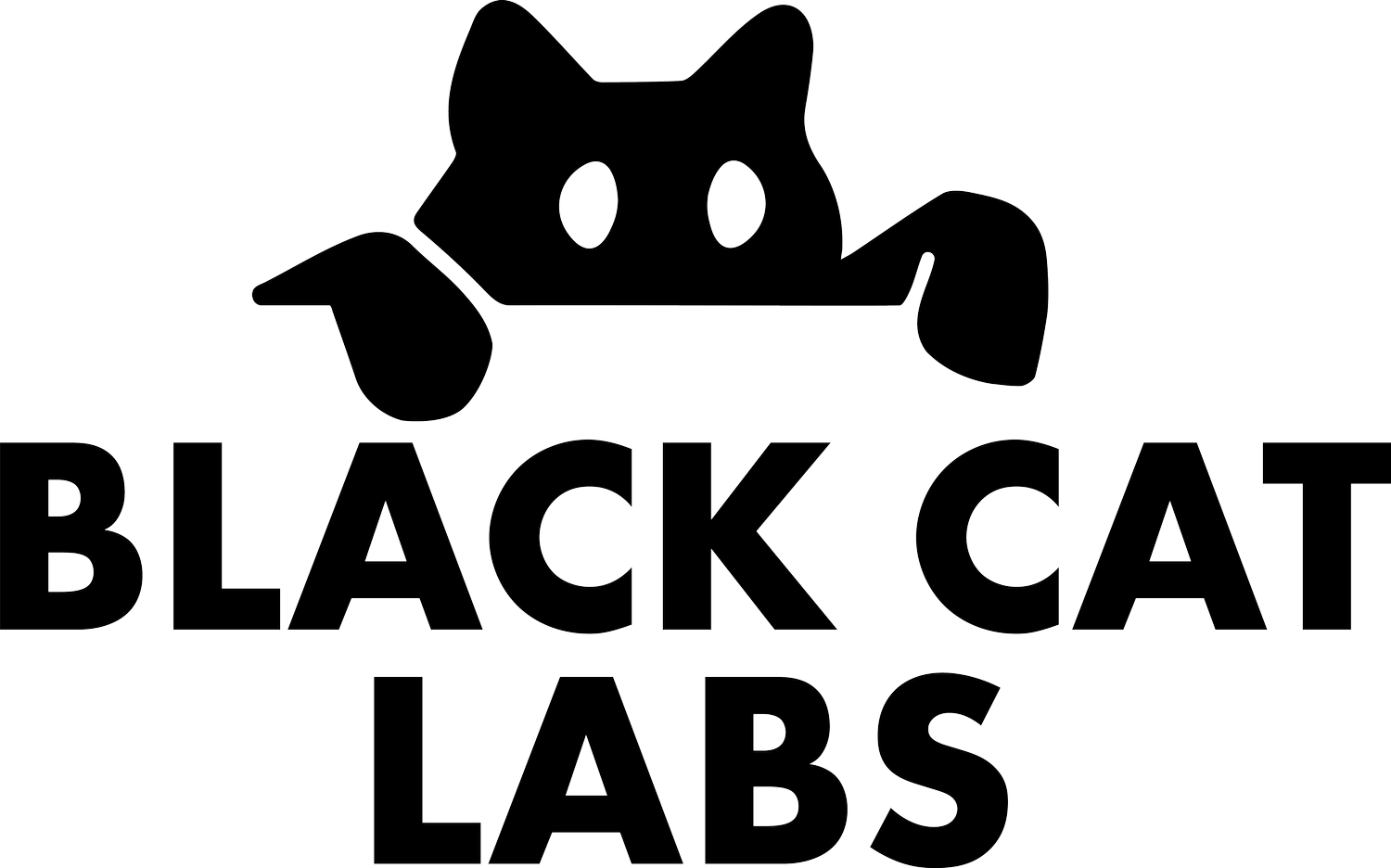 Black Cat Labs | A Manufacturing Firm That’s Light on Its Feet.