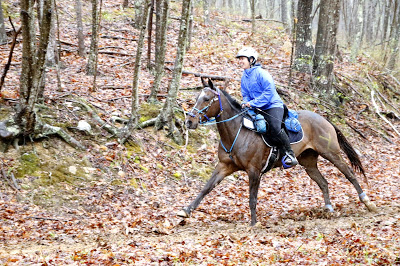 At 37 years of age, on my last 50-mile endurance ride. My mare Tiger Lily and I completed the Old Dominion Triple Crown, which features the three toughest endurance rides on the East Coast, at the 50-mile distance. Some people spend all their lives searching for the perfect endurance partner and thousands of dollars on bloodlines and breeding on the quest for that perfect horse. I successfully completed these three rides on my mutt mare that I bought for $1...on our first attempts at each of these rides. Up until now, endurance riding on this particular mare was my crowning achievement as a rider, equestrian, and athlete. (Photo by Becky Pearman, used with purchase)