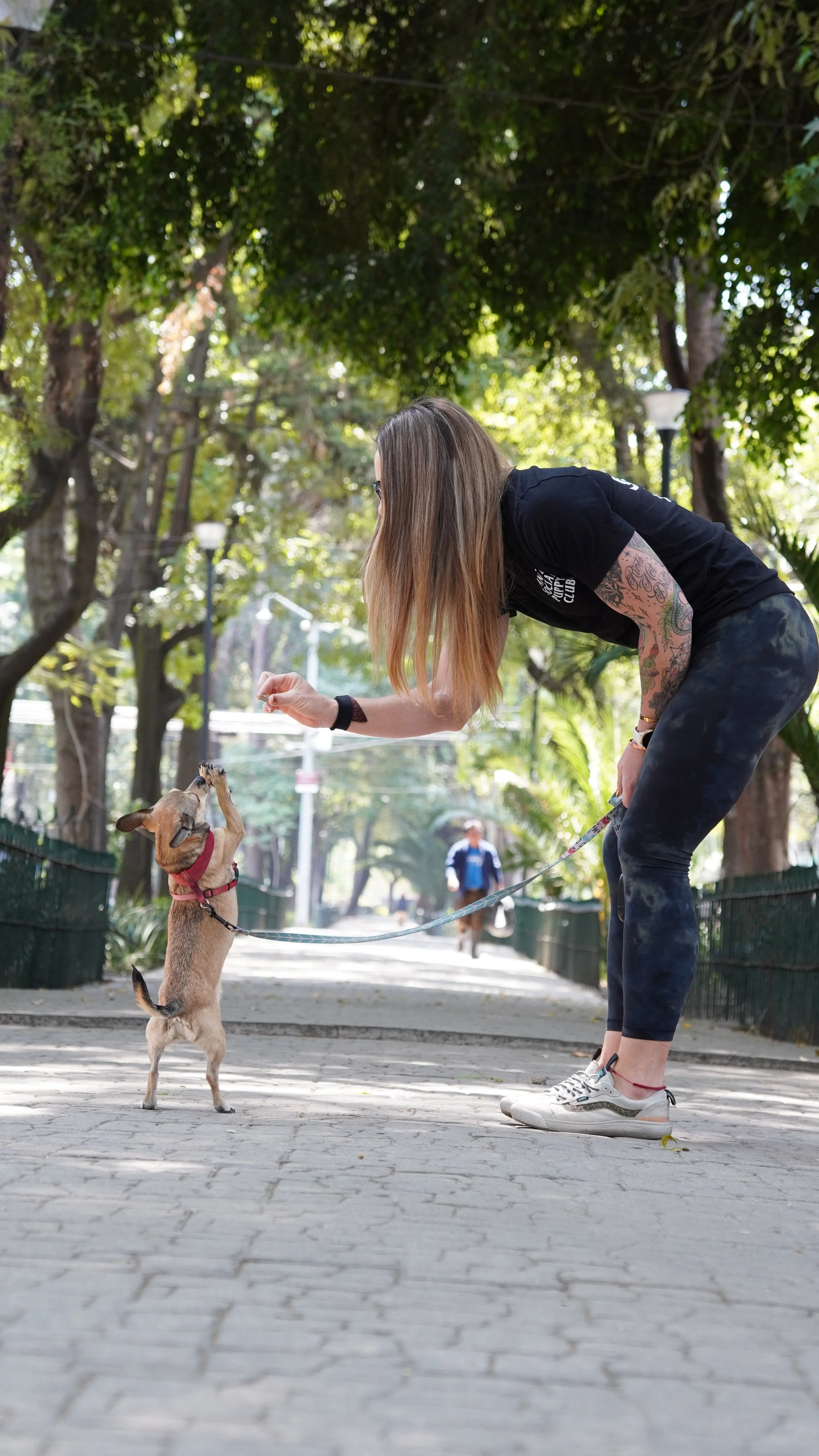 Becoming a Centenarian: Nutrition, Movement, &amp; Habits for Aging Into Triple Digits