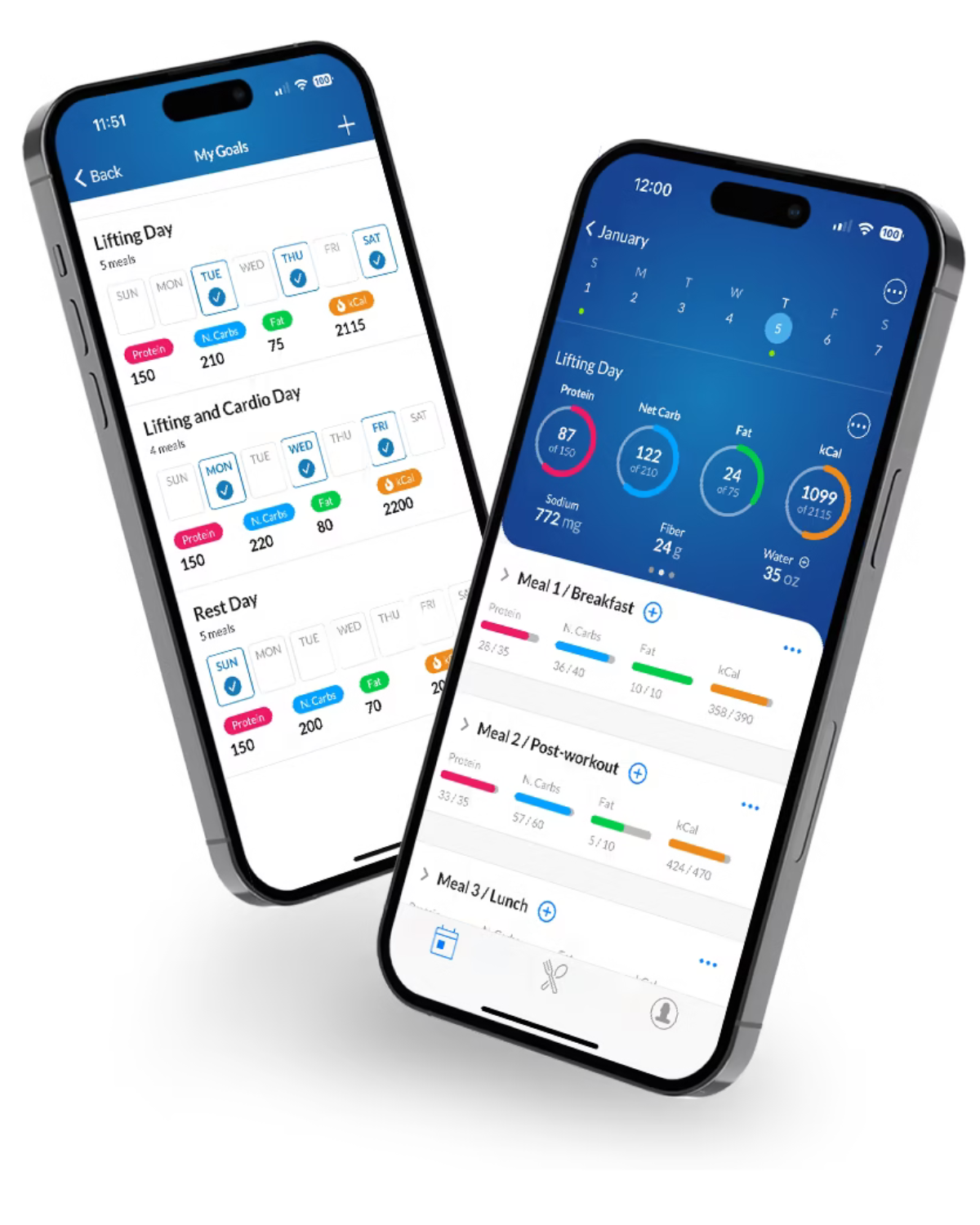 Mastering Macros A Beginner's Guide to Nutrition Tracking — Black Iron