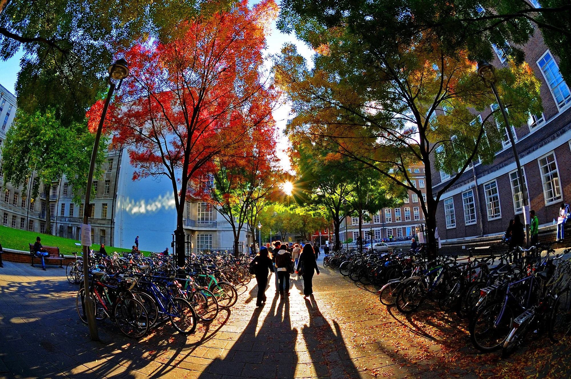 soas cover.jpg