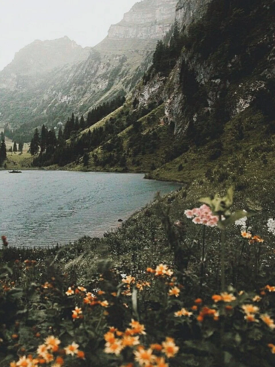 .
 &ldquo;You who want knowledge, 
seek the Oneness within. 

There you will find 
the clear mirror 
already waiting.&rdquo;

- Hadewijch

♾️